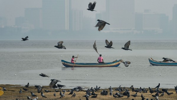 দু'জন ছিল নৌকয়! 