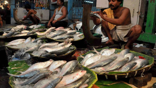 ইলিশ থেকে কচুর শাক পড়ে পাতে! ইলিশ থেকে কচুর শাক পড়ে পাতে!