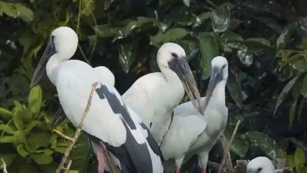পরিধি