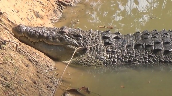 দেখার আছে কী দেখার আছে কী
