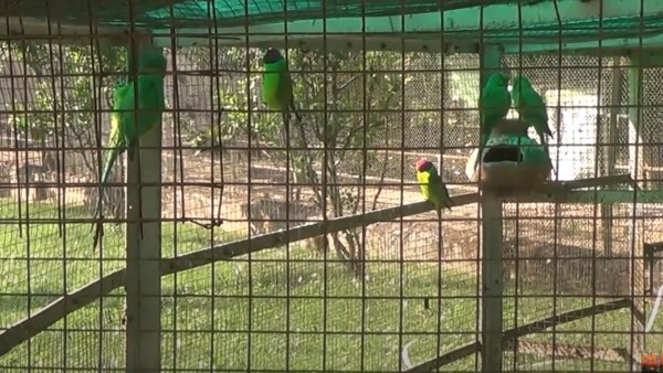 থাকার জায়গা থাকার জায়গা