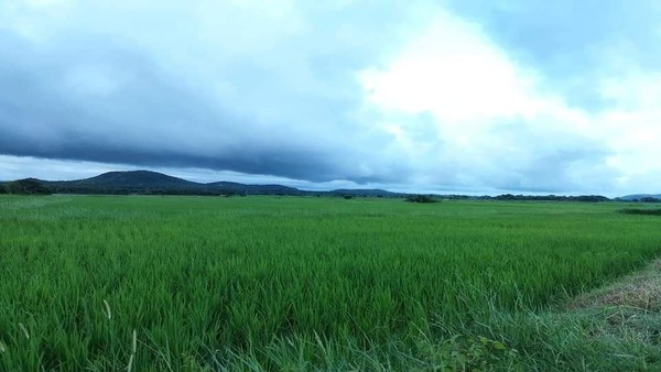 উত্তরবঙ্গের আবহাওয়া উত্তরবঙ্গের আবহাওয়া
