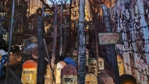  কোন কোন বিভাগে পুরস্কার দেওয়া হয়