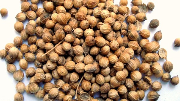 ধনের বীজ