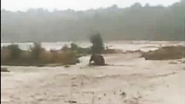 বিপর্যস্ত দেবভূমি, বাড়ছে মৃত্যু