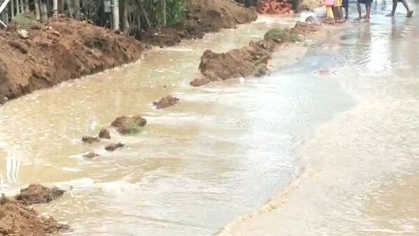 মাঠে থাকা ফসল নষ্ট, সাহায্যের অপেক্ষা কৃষকরা মাঠে থাকা ফসল নষ্ট, সাহায্যের অপেক্ষা কৃষকরা