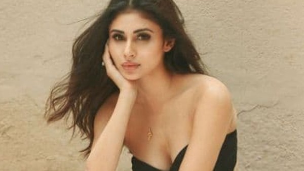 মৌনি রায়ের কর্মজীবন