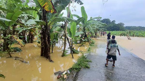 হু হু করে বাড়ছে মৃতের সংখ্যা হু হু করে বাড়ছে মৃতের সংখ্যা