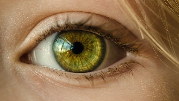 ডান চোখের কাঁপা