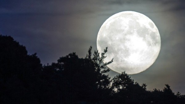 দান করা দান করা