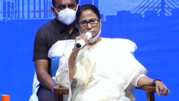 হাঁসের পালক দিয়ে শিল্পের ভাবনা