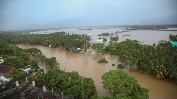অন্ধ্র প্রদেশে বন্যায় মৃত্যু বেড়ে ৪১