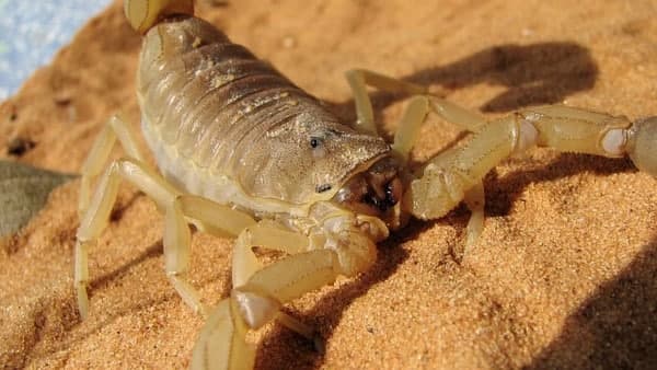 মৃত্যুর আশঙ্কায় ভুগছে সাধারণ মানুষ