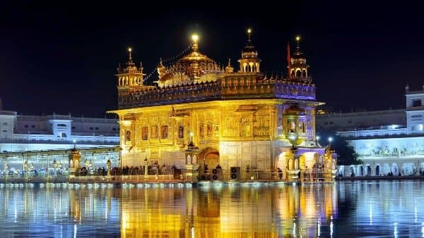 বেড়াটি লাফিয়ে ভিতরে আসে, তারপর যা ঘটল