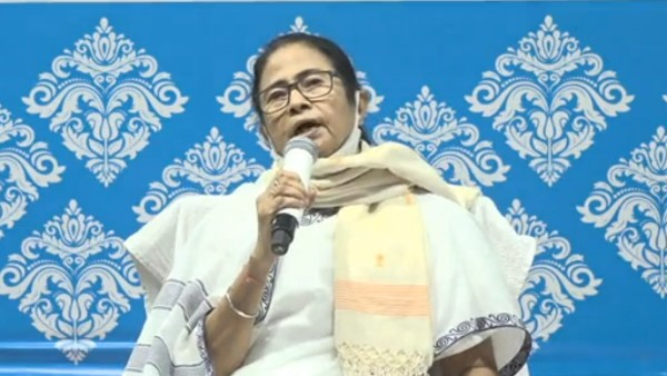 নীল সাদা রং 