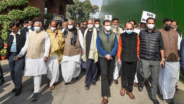 ১২ জন সদস্যকে বরখাস্ত ১২ জন সদস্যকে বরখাস্ত