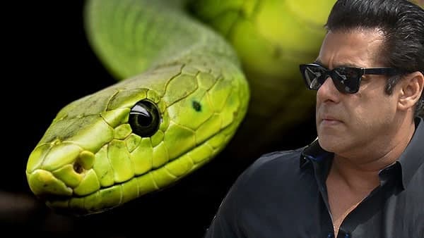 সাপের কামড় খেয়ে হাসপাতালে সলমন খান! সাপের কামড় খেয়ে হাসপাতালে সলমন খান!