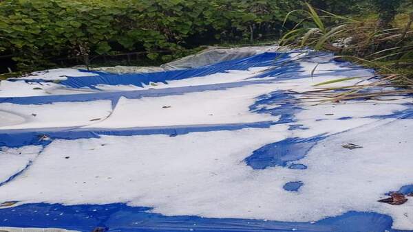 পূর্ব ভারতে শিলাবৃষ্টির সম্ভাবনা পূর্ব ভারতে শিলাবৃষ্টির সম্ভাবনা