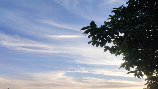 উত্তর ও দক্ষিণবঙ্গের বিভিন্ন শহরের সর্বোচ্চ তাপমাত্রা( ডিগ্রি সেলসিয়াস)