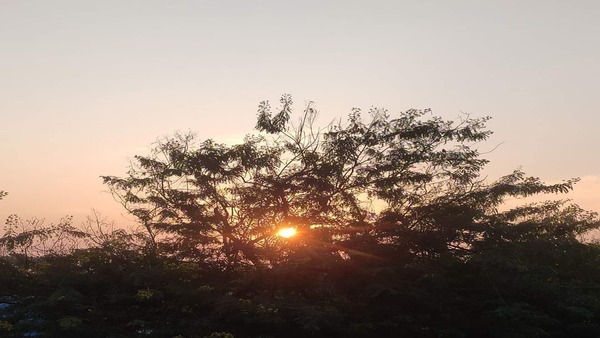 দক্ষিণবঙ্গের আবহাওয়া