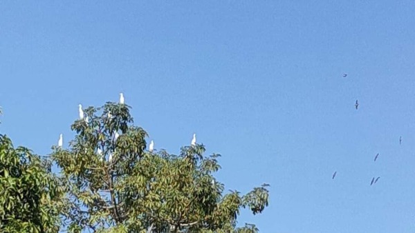 উত্তরবঙ্গের আবহাওয়া