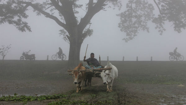 উত্তরবঙ্গের আবহাওয়া উত্তরবঙ্গের আবহাওয়া