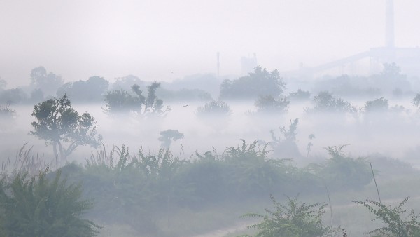 হঠাৎ বেপাত্তা শীত, বাংলার আবহাওয়া গরম