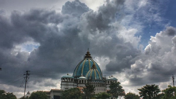  মায়াপুরের কাছেই ট্রি হাউস