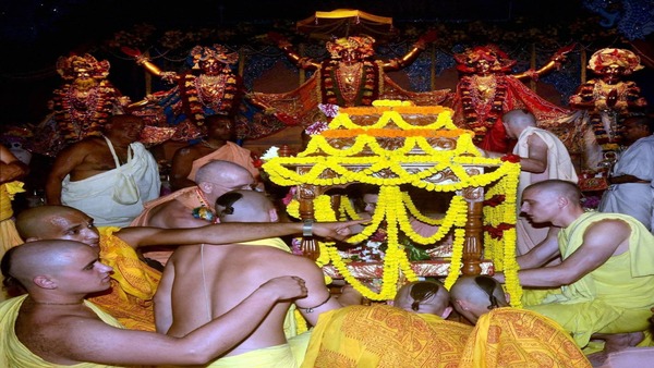 আশ্রমের পরিবেশে ট্রি হাউস