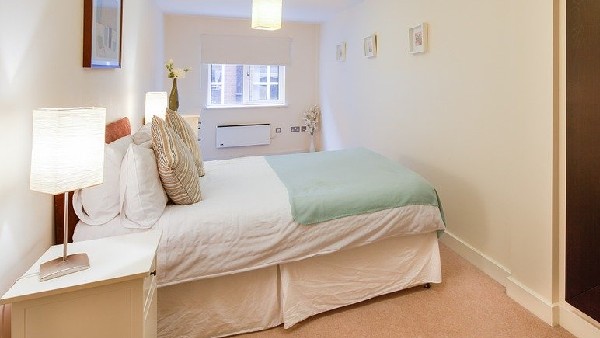 তোতা পাখির মূর্তি