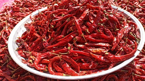  ভারতে কি এর আগে লঙ্কা খাওয়ার প্রচলন ছিল?