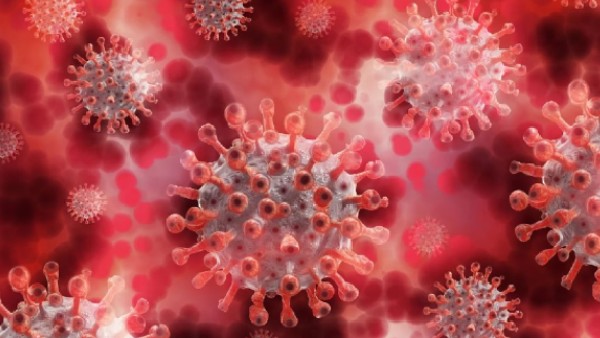 বিপর্যয় আইনে মামলা বিপর্যয় আইনে মামলা