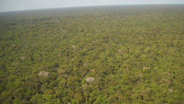  নন্দা দেবী জাতীয় উদ্যান