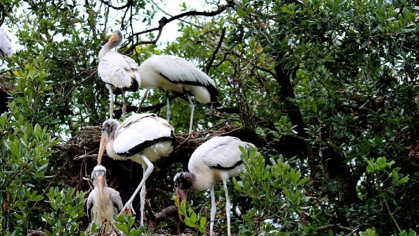 কেওলাদেও জাতীয় উদ্যান
