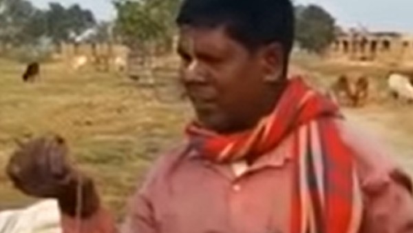  বাদাম কাকুর কীর্তি