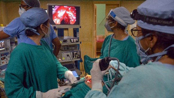 প্রাণীর অঙ্গ মানবদেহে প্রতিস্থাপন