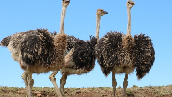 বিশ্বব্যাপী জলবায়ুর একটি বড় পরিবর্তনের জন্য অদৃশ্য বিশ্বব্যাপী জলবায়ুর একটি বড় পরিবর্তনের জন্য অদৃশ্য