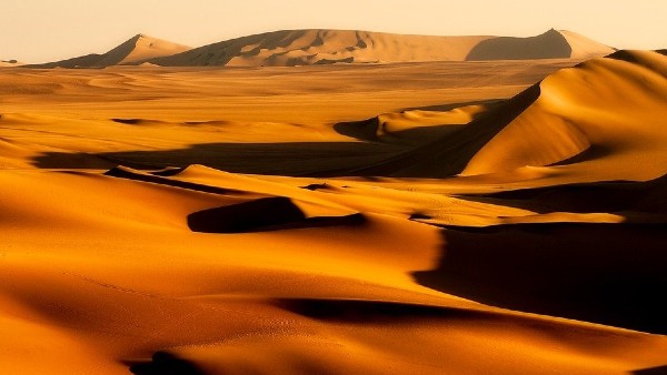 সোশ্যাল মিডিয়ায় শেয়ার করতেই ছবি মহূর্তে ভাইরাল সোশ্যাল মিডিয়ায় শেয়ার করতেই ছবি মহূর্তে ভাইরাল