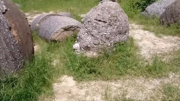 একা একা হাঁটাচলাও করতে পারে ট্রোভান্ট