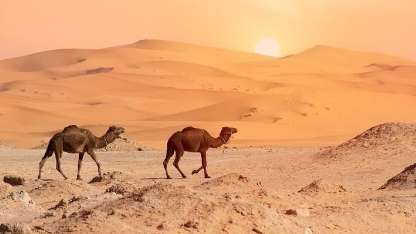 গ্রীষ্ম এবং শীতের মাসগুলিতে তাপমাত্রা বিস্তর ফারাক গ্রীষ্ম এবং শীতের মাসগুলিতে তাপমাত্রা বিস্তর ফারাক