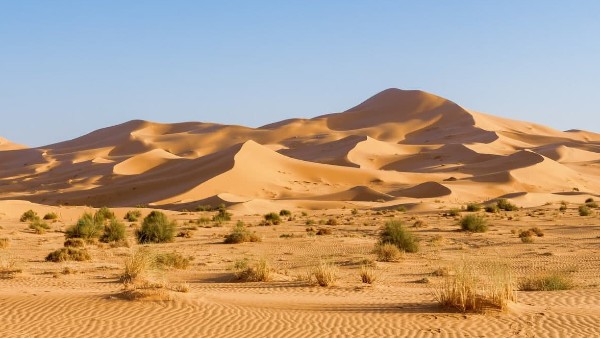 ১৫ হাজার বছরের মধ্যে সবুজ হয়ে উঠতে পারে সাহারা ১৫ হাজার বছরের মধ্যে সবুজ হয়ে উঠতে পারে সাহারা