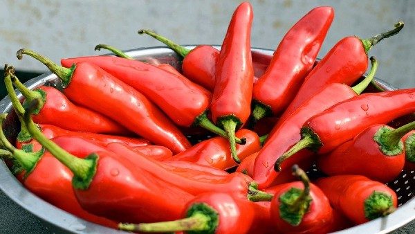 কেমন করে বুঝবেন লঙ্কার ঝাল কেমন?‌