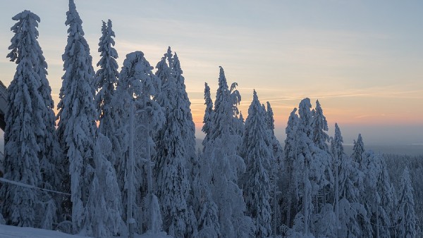 তুষারঝড়ের সঙ্গে বিদ্যুৎহীন অবস্থা, আমেরিকার জনজীবনকে বিপর্যস্ত তুষারঝড়ের সঙ্গে বিদ্যুৎহীন অবস্থা, আমেরিকার জনজীবনকে বিপর্যস্ত