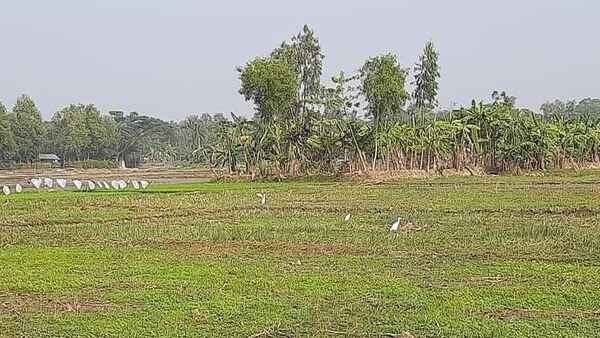 উত্তরবঙ্গের আবহাওয়া 