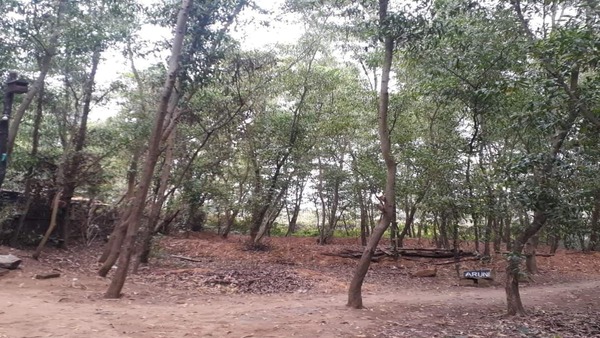 দক্ষিণবঙ্গের আবহাওয়া দক্ষিণবঙ্গের আবহাওয়া