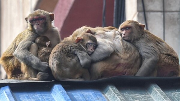উত্তরবঙ্গের আবহাওয়া 