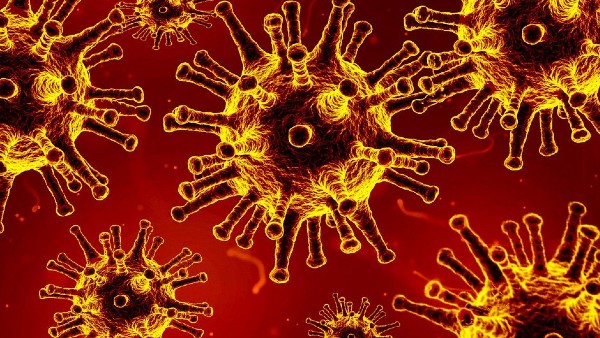 হংকংয়ে বাড়ছে করোনার প্রকোপ