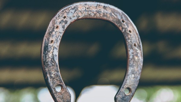 ঘোড়ার নাল