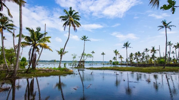 হামজার শুরু ও শেষ 