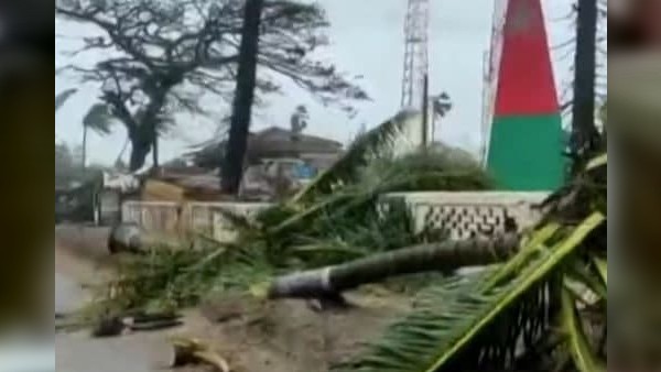 ফসলের ক্ষতি ফসলের ক্ষতি